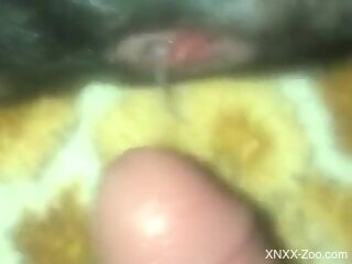 POV pussy gape scene featuring a very slutty beast