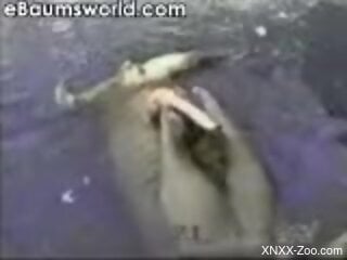 Marine perversions grant horny man the ultimate time