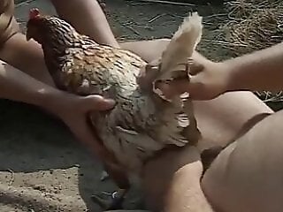 Zoo Porn