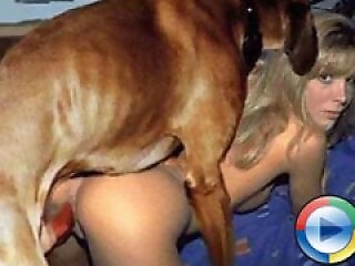 Animal Sex Porn XXX Movies